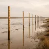 Plans de transition climatique : 69 % affichent, combien mesurent vraiment ?