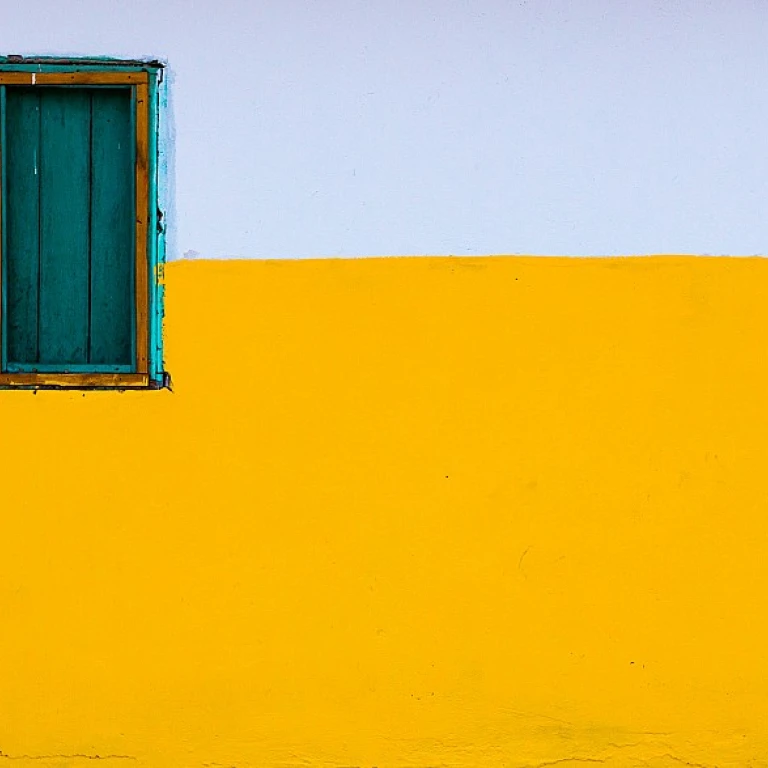 Navigating Transitional Management in Entrepreneurship