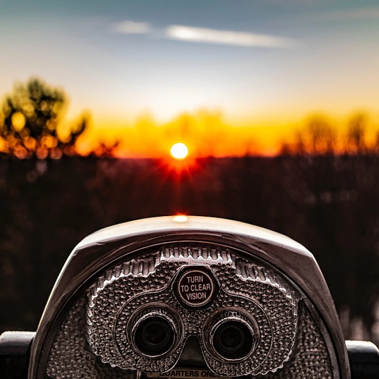 Navigating Decision-Making: Rapid vs RACI in Entrepreneurship