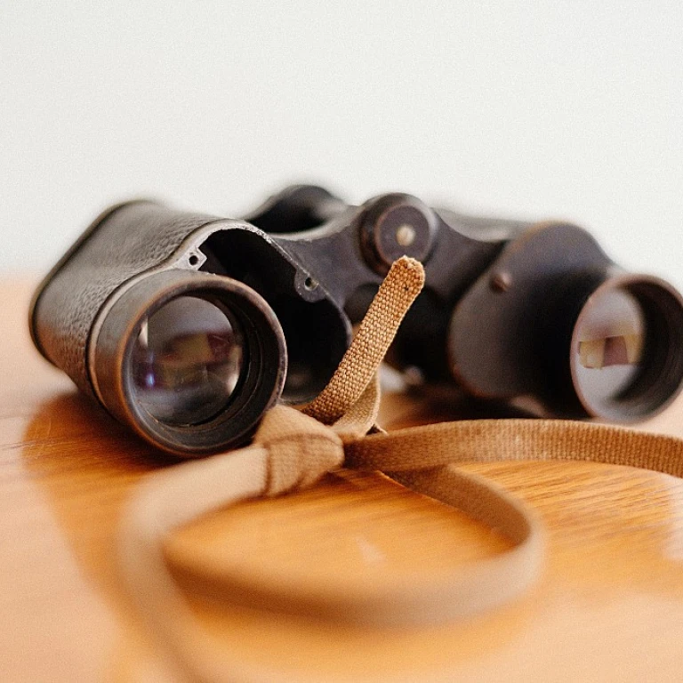 Leveraging AI for Enhanced Business Performance Metrics