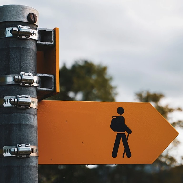 Embracing Your Role on the Executive Team